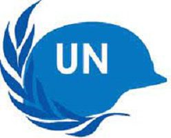 Department of Peace Operations(UNDPO)