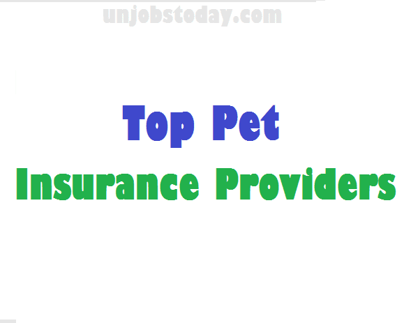 Top Pet Insurance Providers