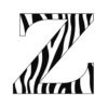 Z Tours & Safaris Company Limited 