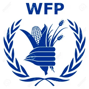 Budget & Programming Associate G6 at WFP