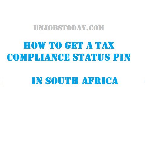 How to Get A Tax Compliance Status Pin in South Africa
