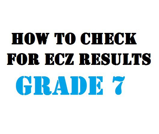 How to check for ecz results grade 7