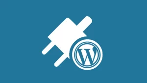  Top 10 WordPress Plugins For Bloggers