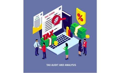 Demystifying Tax Audits and Analysis: Your In-Depth Guide.