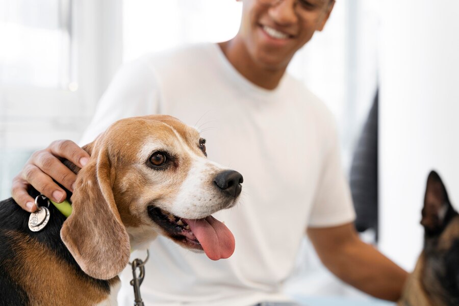 Navigating Pet Insurance: A Worthwhile Investment for Your Furry Companion?