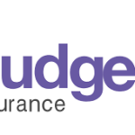 Budget Insurance: Affordable Coverage Options for Everyday Needs