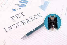 Pet Insurance : Essential Coverage for Your Furry Friends