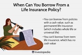 Understanding Life Insurance: What You Need to Know